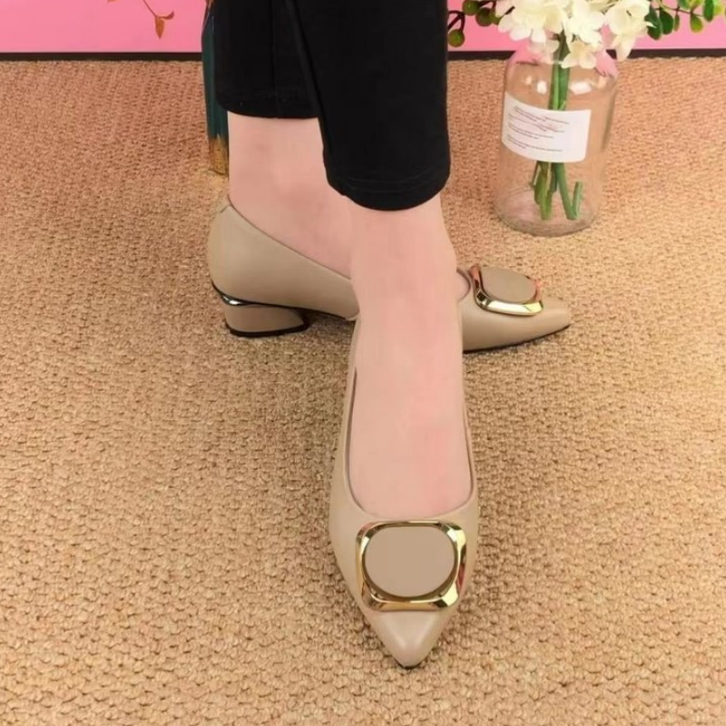 Women's Low Heel Shallow Pointed Toe Shoes
