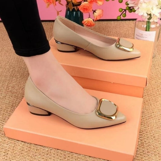 Women's Low Heel Shallow Pointed Toe Shoes