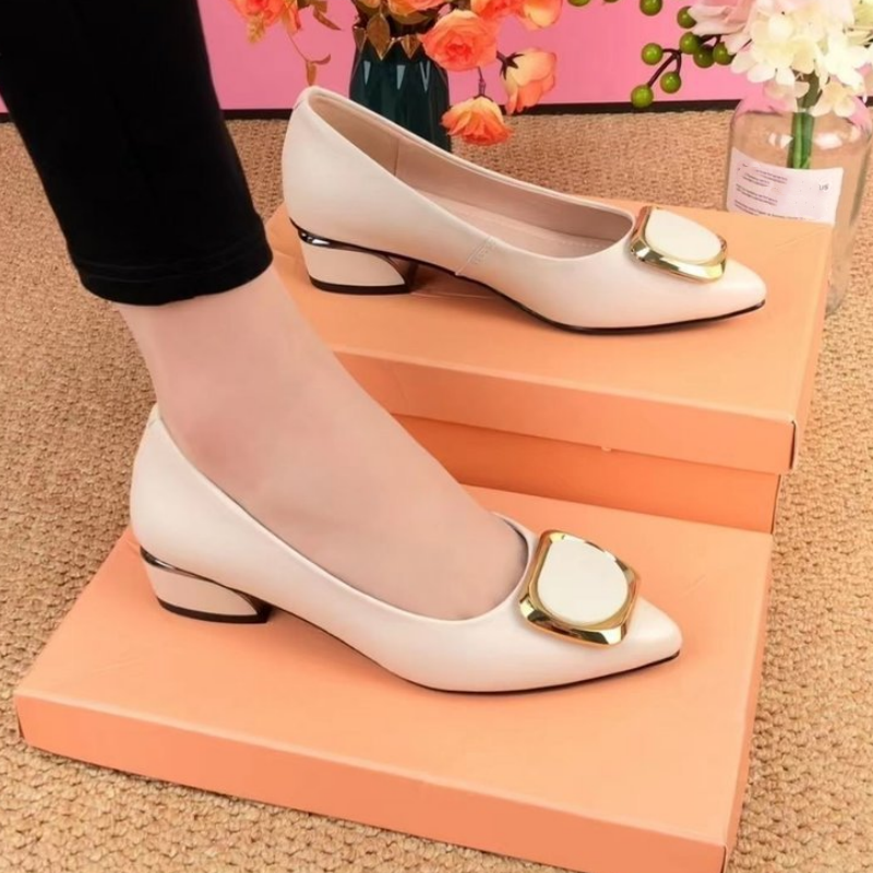 Women's Low Heel Shallow Pointed Toe Shoes